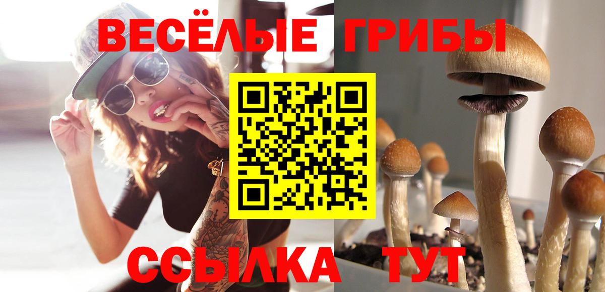 Галлюциногенные грибы мухоморы  Вход с VPN  Спасск-Дальний 